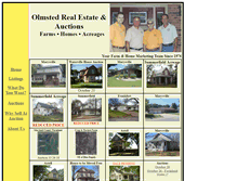 Tablet Screenshot of olmstedrealestate.com